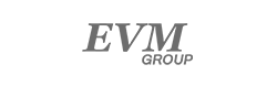 EVM group logo