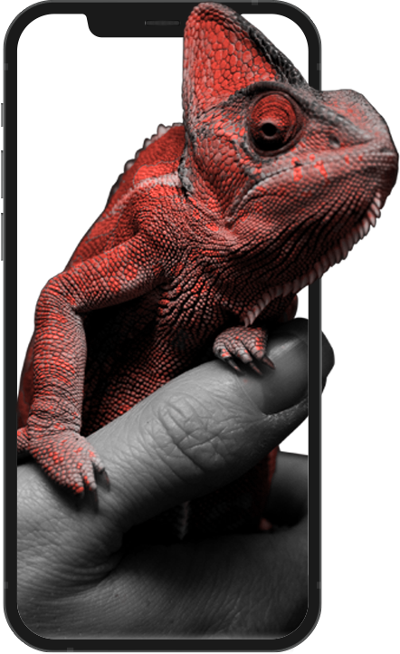 A vibrant red chameleon on a smartphone screen